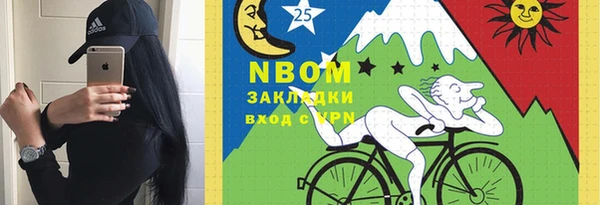 винт Инсар