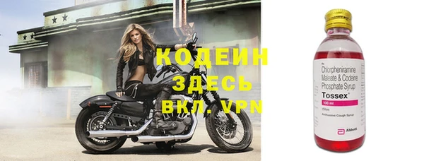 винт Инсар