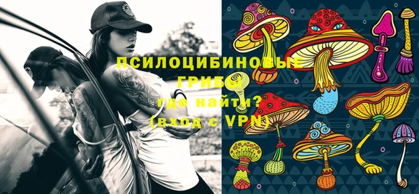 винт Инсар