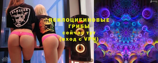 винт Инсар