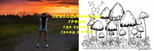 винт Инсар
