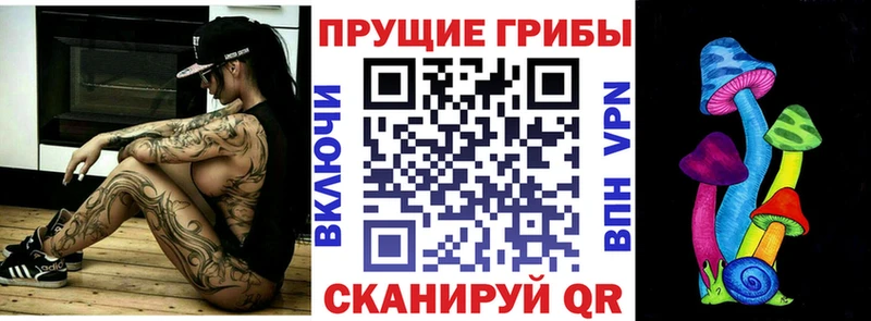 Псилоцибиновые грибы ЛСД  Купить  Черноголовка 
